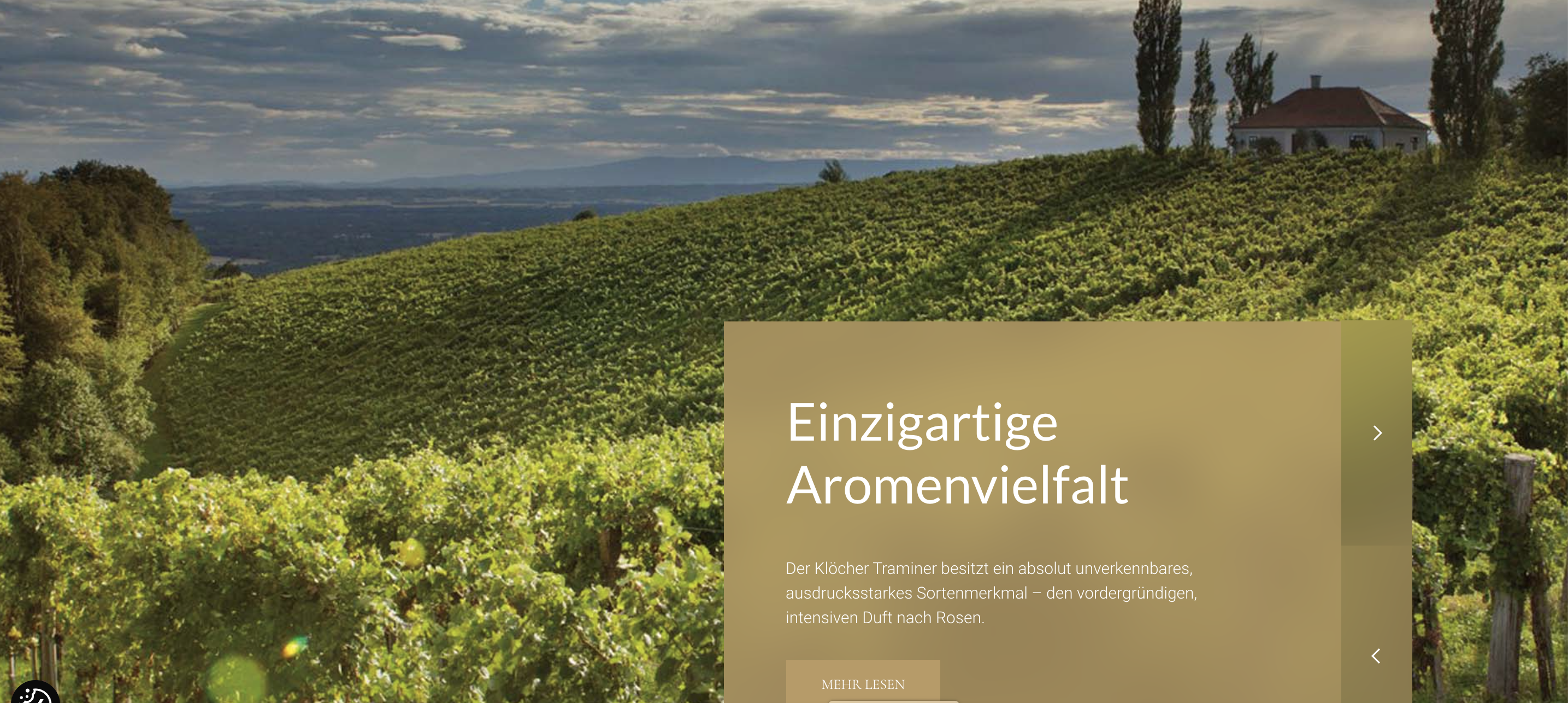 Novo site da Klöcher Traminer