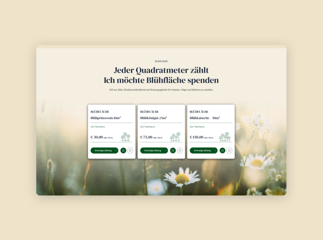 Desktop-Screenshot zum Thema Spenden im Boxen-Design mit einer Blumenwiese im Hintergrund.